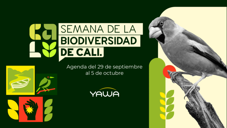 Agenda de la Semana de la Biodiversidad en Yawa 